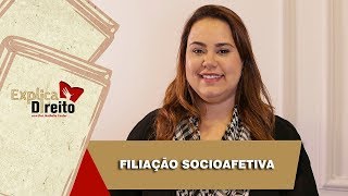 Explica Direito Filiação Socioafetiva  2019 [upl. by Ahsilahs249]