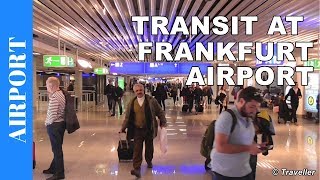 TRANSIT WALK AT FRANKFURT Airport FRA Terminal 1  Connection Flight Transfer Arriving amp Departing [upl. by Maida424]